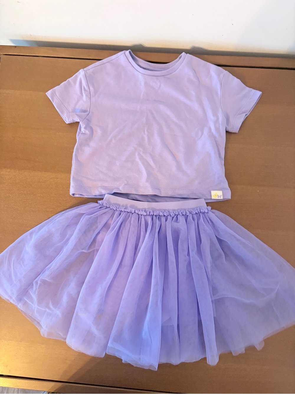 Kids Lavender Tutu Set - Purple Top and Skirt